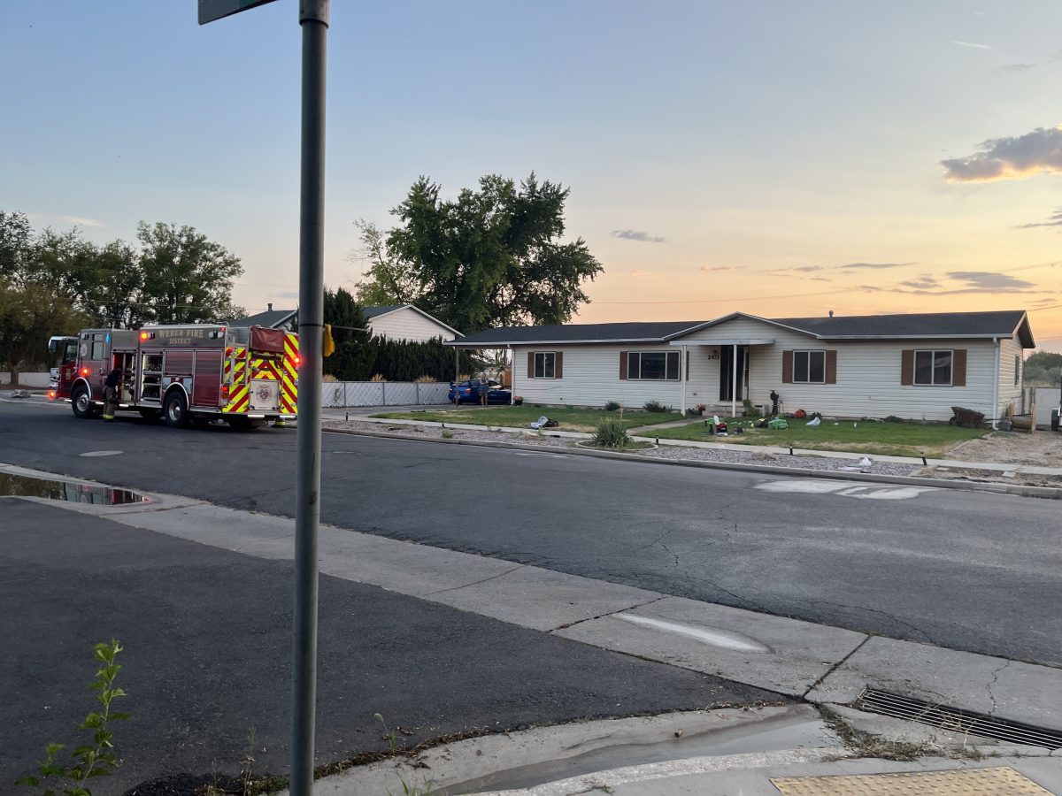 Two dogs resuscitated during house fire in Farr West